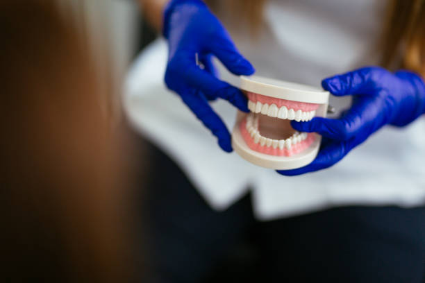 Professional Holistic Dental Care Services in Chelan, WA